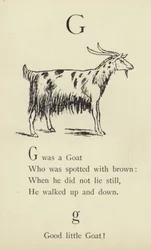 De letter G